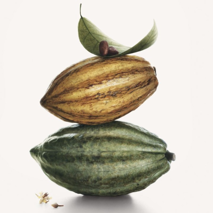 Chocolat Noir Valrhona - Chocolat Valrhona caraïbe 66% en pistoles 1kg